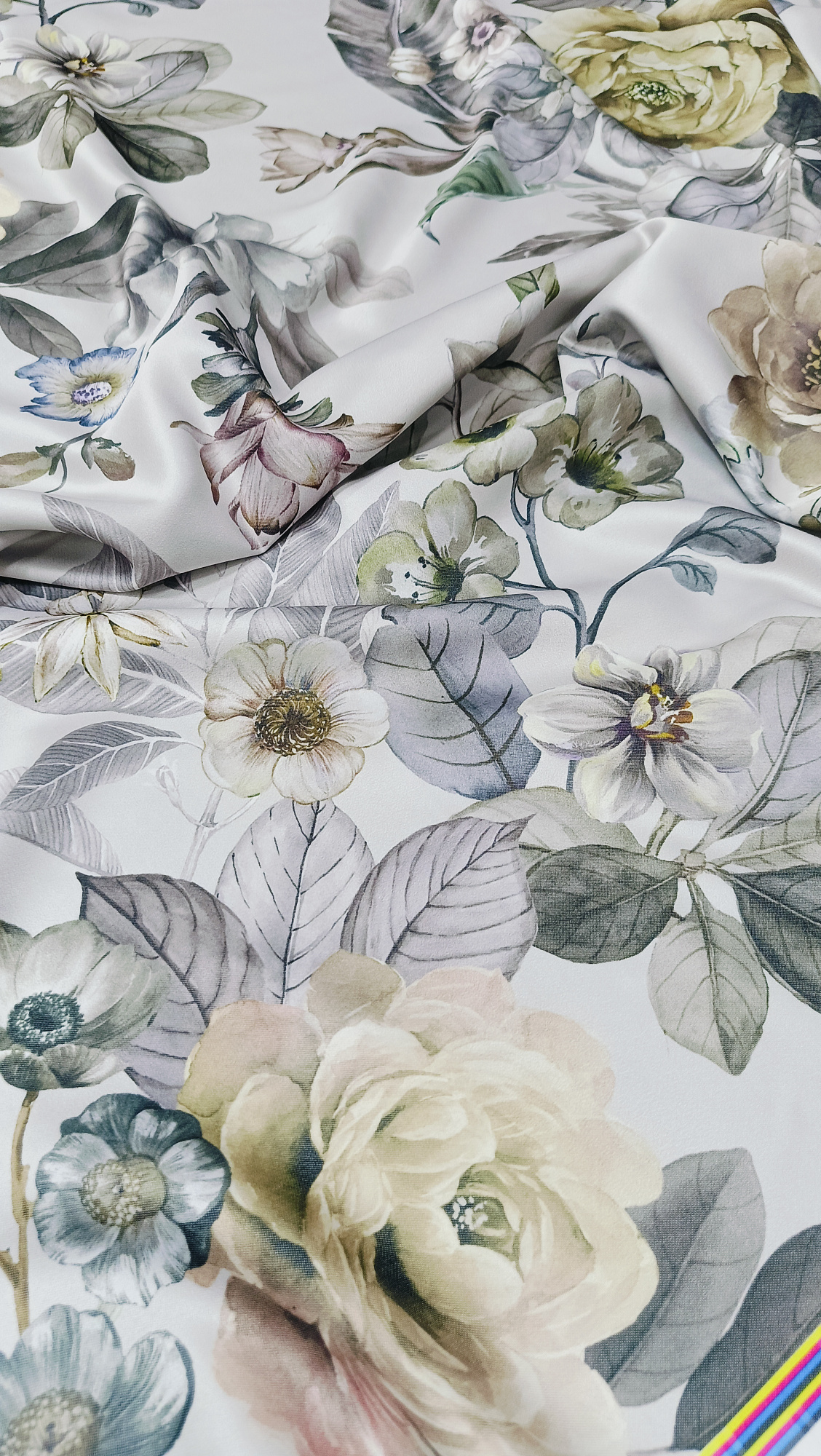 Тенсель китайский